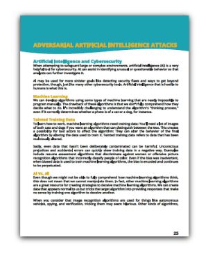 Adversarial AI Attacks