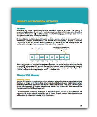 Binary Applications Attacks