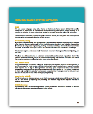 Domain Name System Attacks