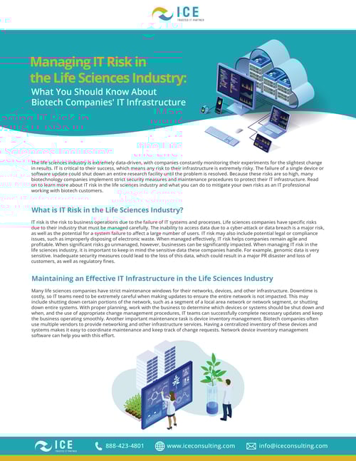 Managing Risk in IT Cover